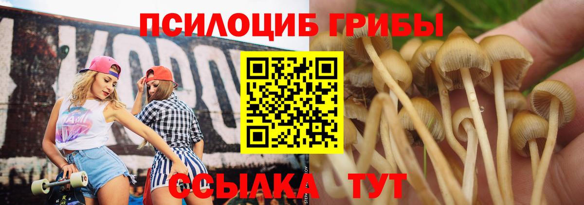 Галлюциногенные грибы прущие грибы  Вход с VPN  Псилоцибиновые грибы прущие грибы  Новодвинск 